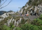 IMG 2849